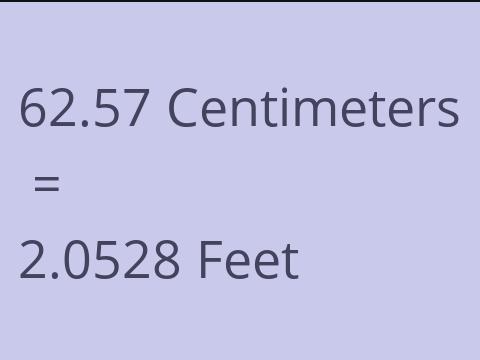 62.57 CM TO FEET