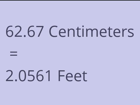 62.67 CM TO FEET