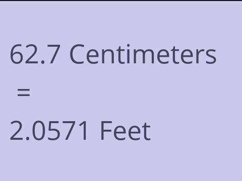 62.7 CM TO FEET