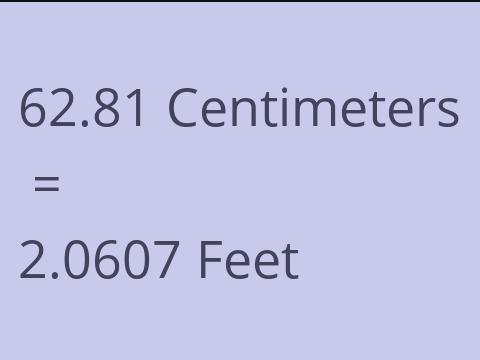 62.81 CM TO FEET