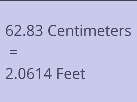 62.83 CM TO FEET