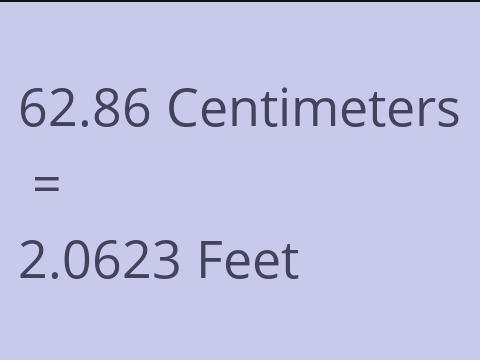 62.86 CM TO FEET