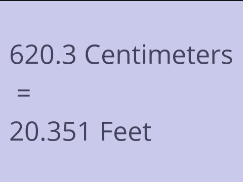 620.3 CM TO FEET