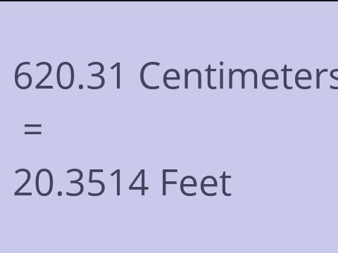 620.31 CM TO FEET