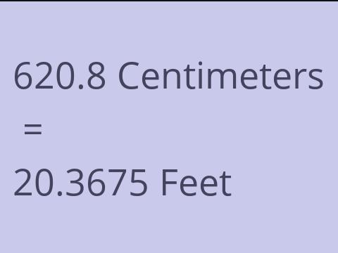 620.8 CM TO FEET