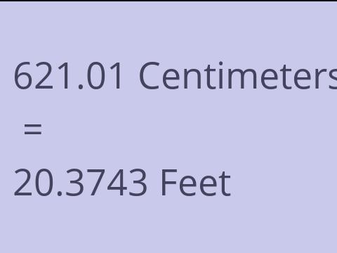 621.01 CM TO FEET