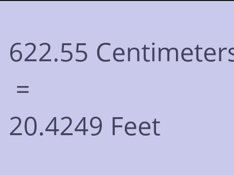 622.55 CM TO FEET