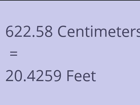 622.58 CM TO FEET