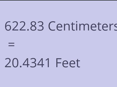 622.83 CM TO FEET