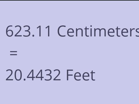 623.11 CM TO FEET