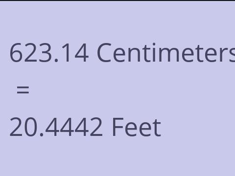 623.14 CM TO FEET