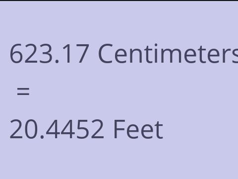 623.17 CM TO FEET