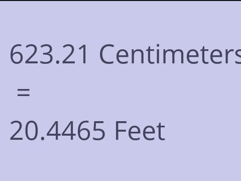 623.21 CM TO FEET