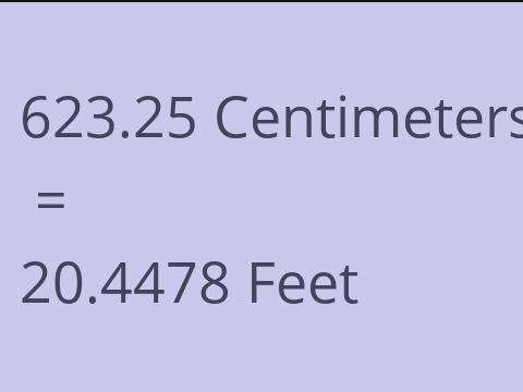 623.25 CM TO FEET