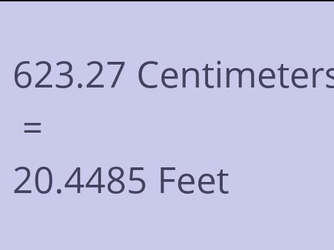 623.27 CM TO FEET