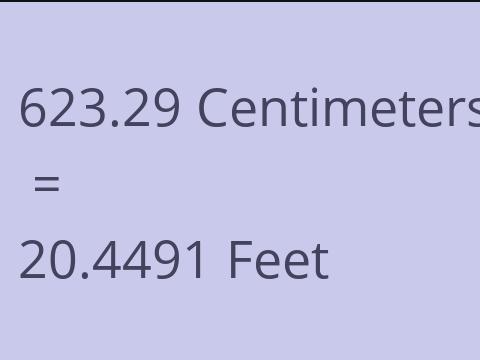 623.29 CM TO FEET