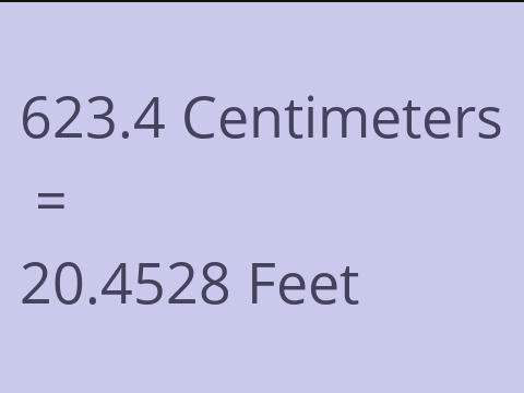 623.4 CM TO FEET