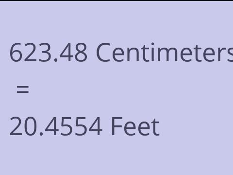 623.48 CM TO FEET