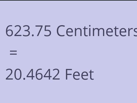 623.75 CM TO FEET