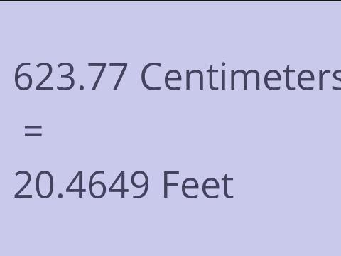 623.77 CM TO FEET