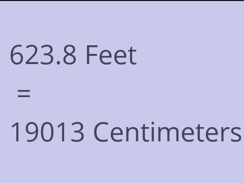 623.8 FEET TO CM