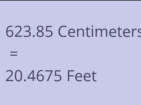 623.85 CM TO FEET