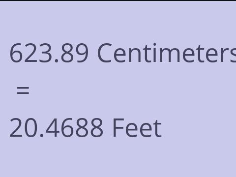 623.89 CM TO FEET