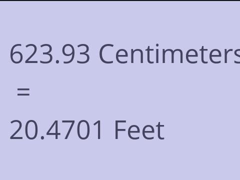 623.93 CM TO FEET