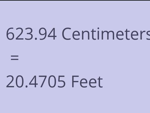 623.94 CM TO FEET