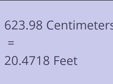 623.98 CM TO FEET