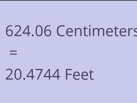 624.06 CM TO FEET