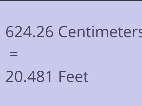 624.26 CM TO FEET