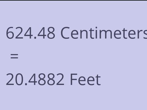 624.48 CM TO FEET