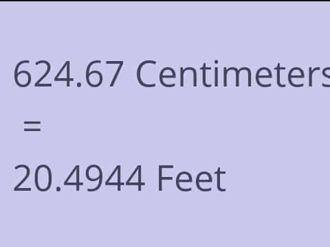 624.67 CM TO FEET