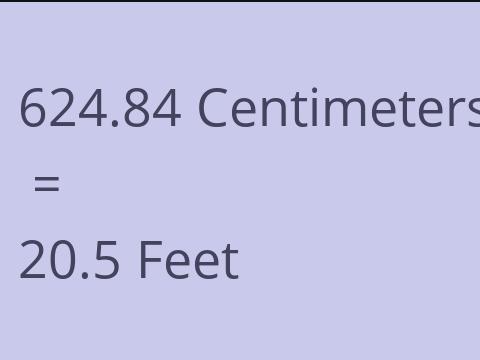 624.84 CM TO FEET