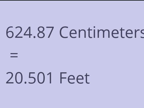 624.87 CM TO FEET