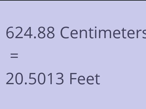 624.88 CM TO FEET