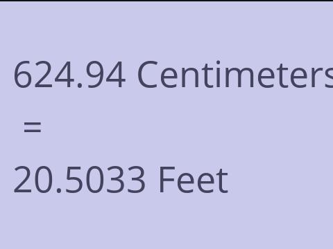 624.94 CM TO FEET