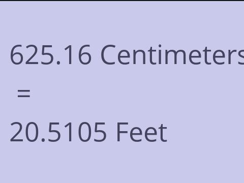 625.16 CM TO FEET