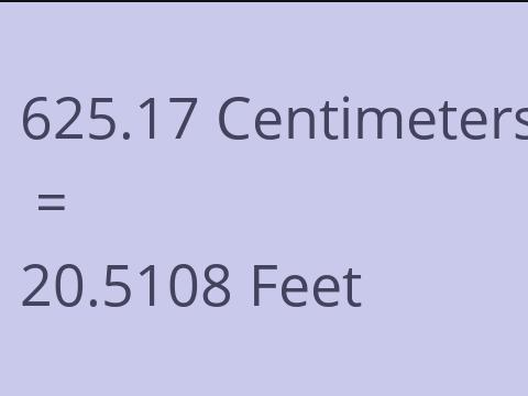 625.17 CM TO FEET