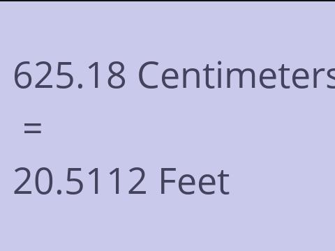 625.18 CM TO FEET