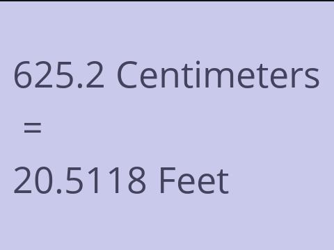 625.2 CM TO FEET