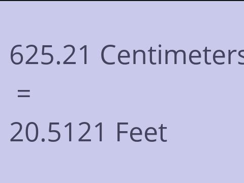 625.21 CM TO FEET