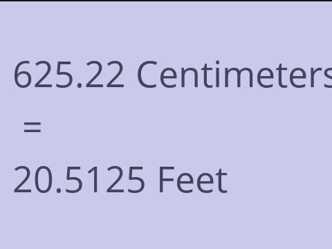 625.22 CM TO FEET