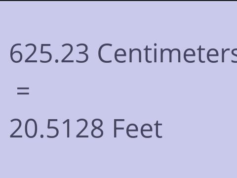 625.23 CM TO FEET