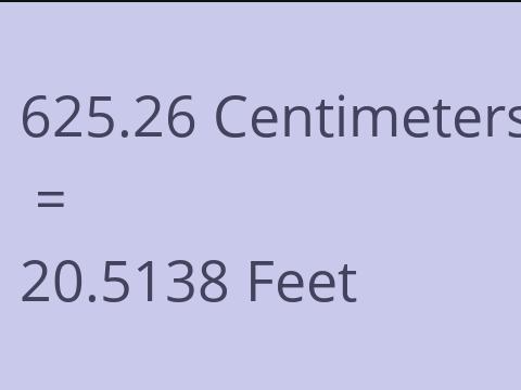 625.26 CM TO FEET