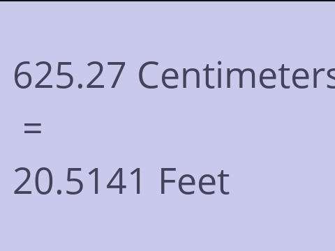 625.27 CM TO FEET