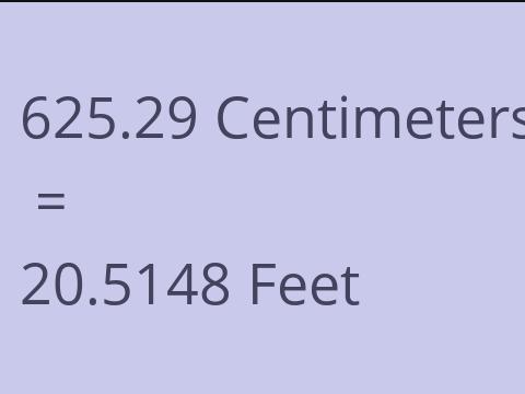 625.29 CM TO FEET