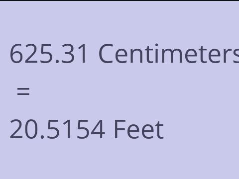 625.31 CM TO FEET