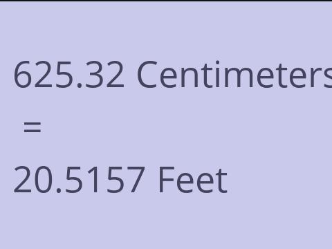 625.32 CM TO FEET